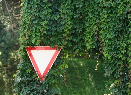 Grüner unterwegs!