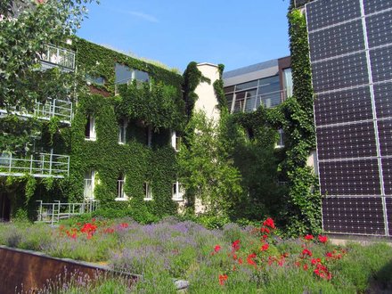 Sonnenverehrung