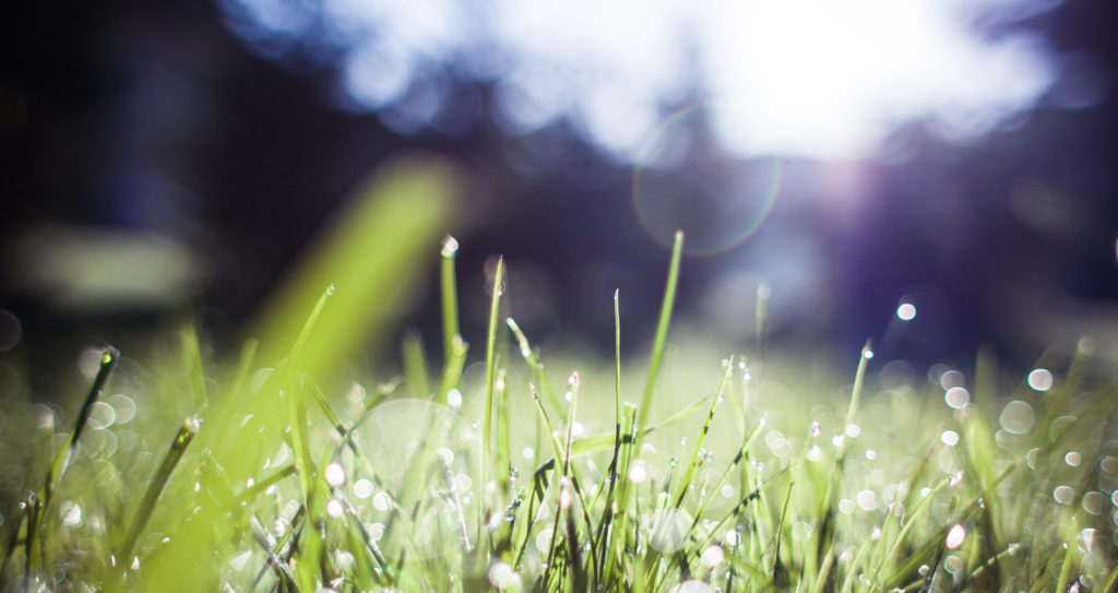 Green Travel Conference: 3rd April, Vienna